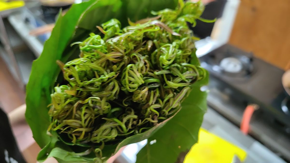 Dschungelfarn - gibt es gleich mit Kürbis in Kokossauce