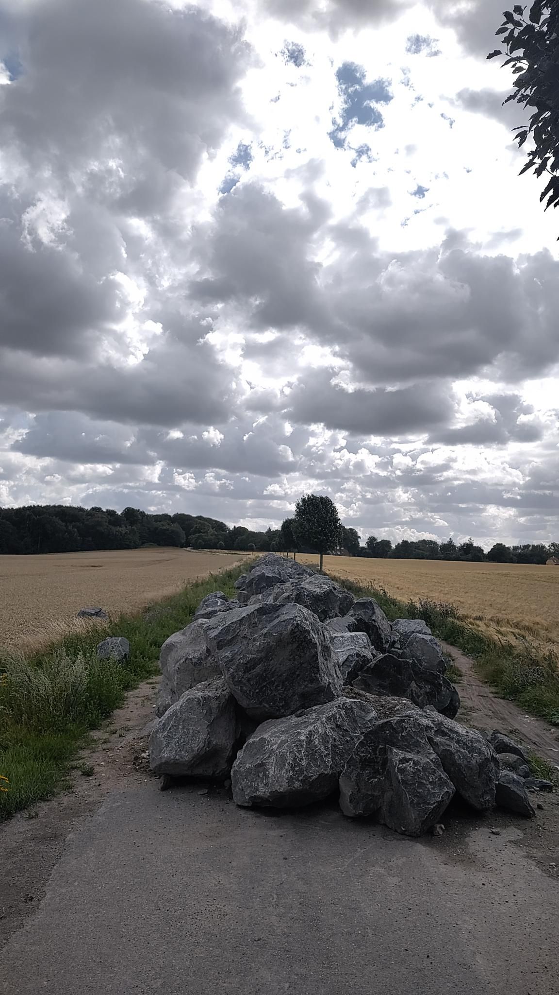 signal-2026-07-28-19-31-15-897